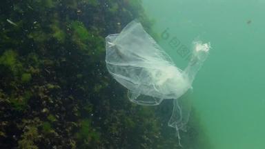 垃圾水聚乙烯袋杀死海洋动物虾这生态自然塑料黑色的海乌克兰
